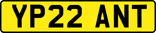 YP22ANT