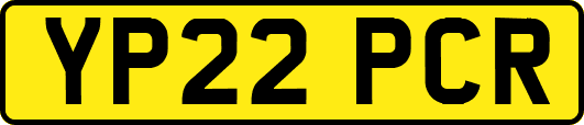 YP22PCR