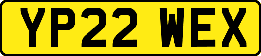 YP22WEX