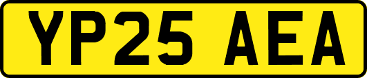 YP25AEA