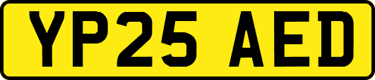 YP25AED