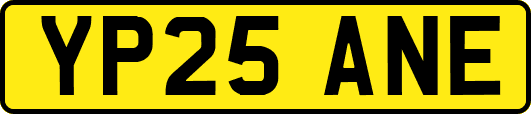 YP25ANE