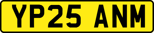 YP25ANM