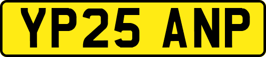 YP25ANP
