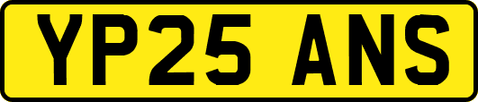 YP25ANS