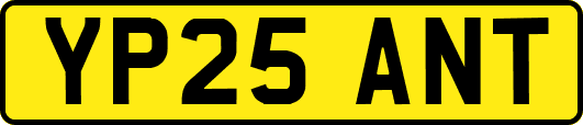 YP25ANT