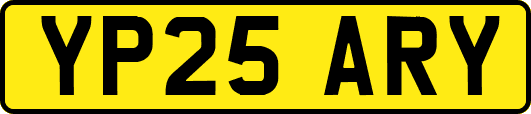 YP25ARY