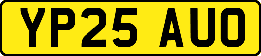 YP25AUO
