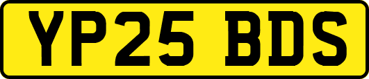 YP25BDS