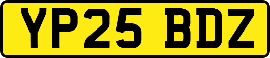 YP25BDZ