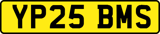 YP25BMS