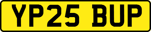 YP25BUP