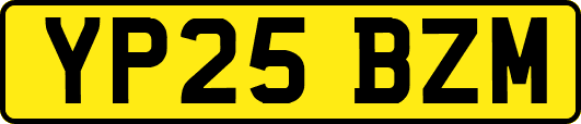 YP25BZM