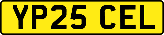 YP25CEL