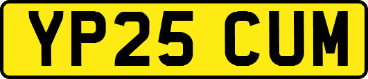 YP25CUM