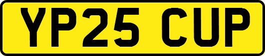 YP25CUP