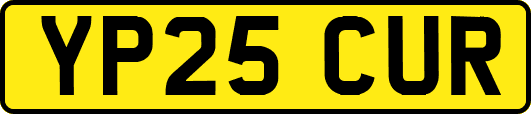YP25CUR