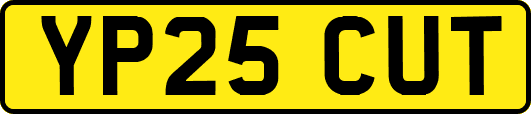 YP25CUT