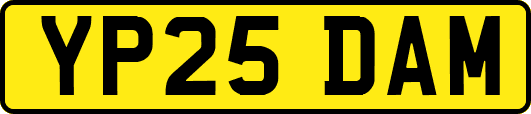YP25DAM