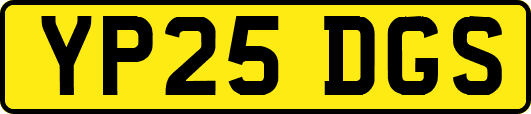 YP25DGS