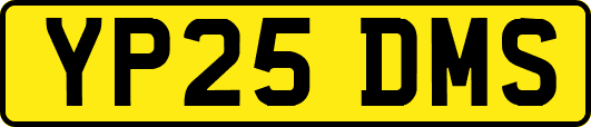 YP25DMS