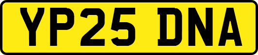 YP25DNA