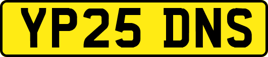 YP25DNS