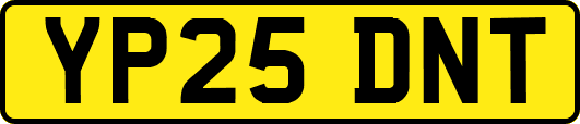 YP25DNT