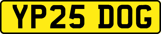 YP25DOG