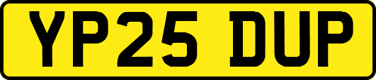 YP25DUP