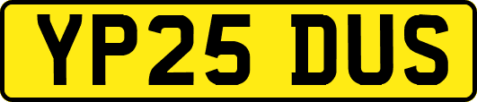 YP25DUS