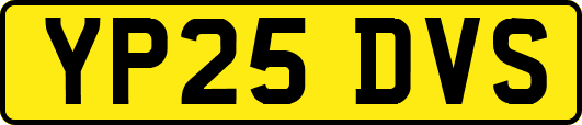 YP25DVS