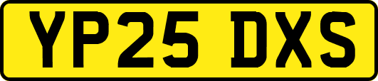 YP25DXS