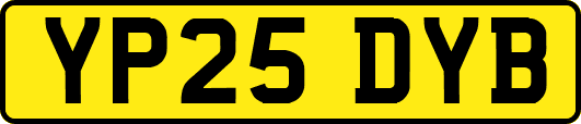 YP25DYB