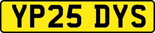 YP25DYS