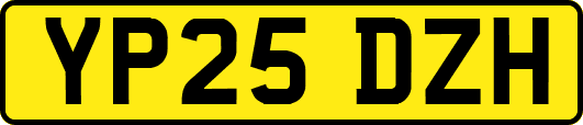 YP25DZH
