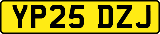 YP25DZJ