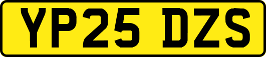 YP25DZS