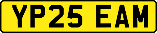 YP25EAM
