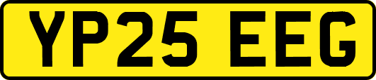 YP25EEG