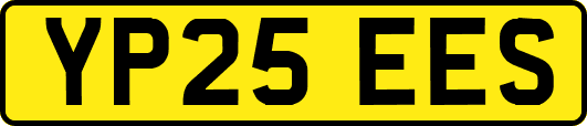 YP25EES