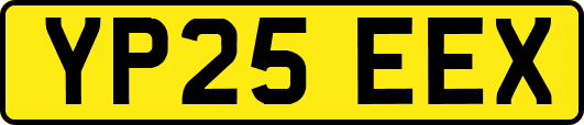 YP25EEX