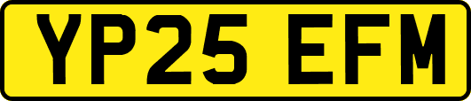 YP25EFM