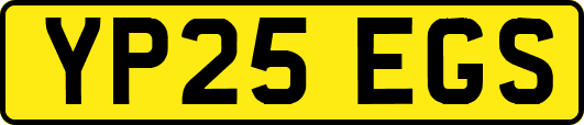 YP25EGS