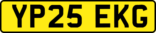 YP25EKG