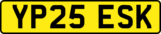 YP25ESK