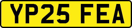 YP25FEA
