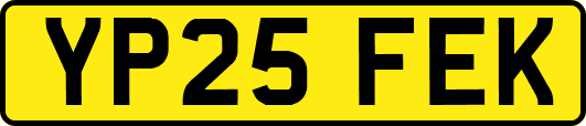 YP25FEK