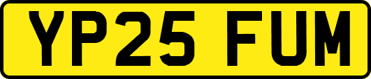 YP25FUM
