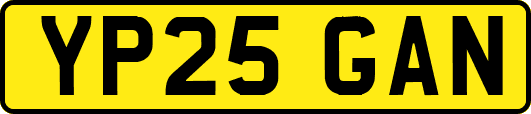 YP25GAN